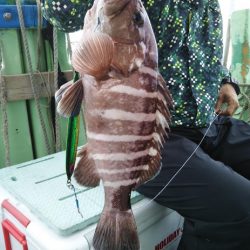 ジギング釣り果